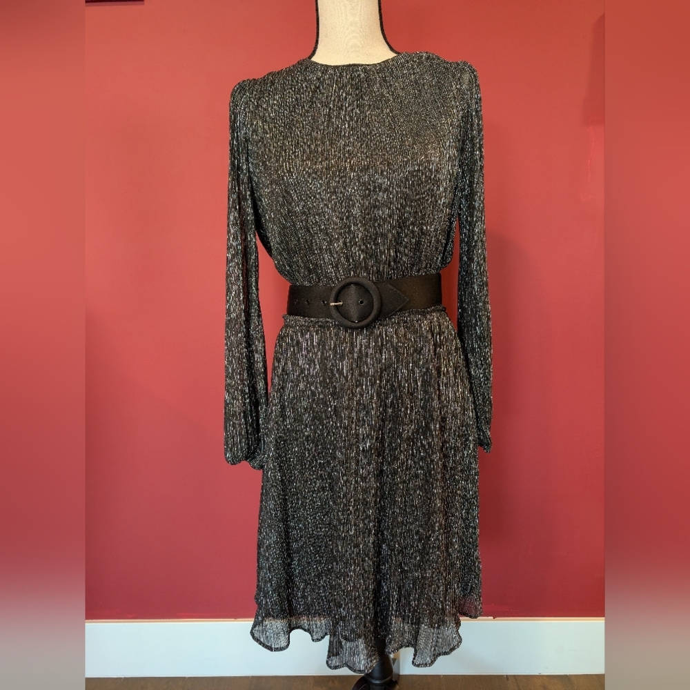 🌹SOLD🌹Metallic Long Sleeve Dress (Belt Not Included)